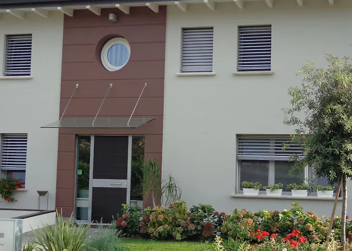 Anima Mundi Curtatone