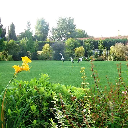 Anima Mundi Bed & Breakfast Curtatone