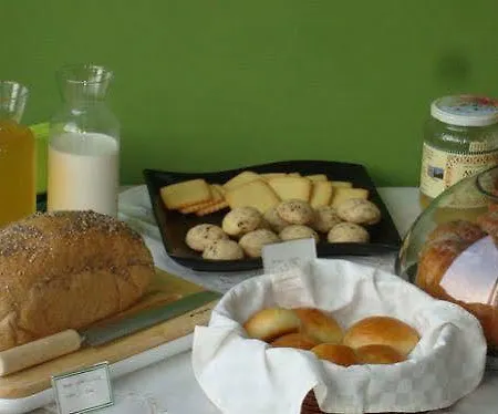 Anima Mundi Curtatone